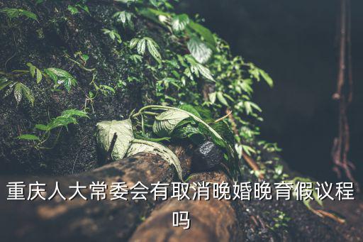 重慶市南川區合溪鎮人民代表大會，請問重慶市人大在哪里呢