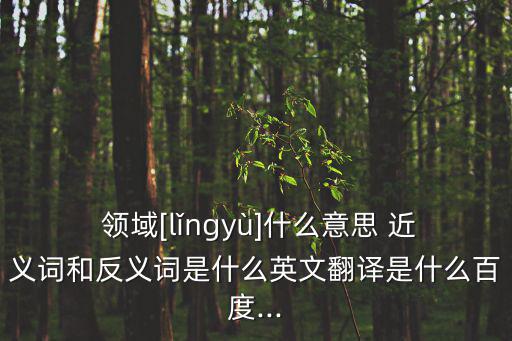 領(lǐng)域[lǐngyù]什么意思 近義詞和反義詞是什么英文翻譯是什么百度...