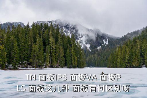 TN 面板IPS 面板VA 面板PLS 面板這幾種 面板有何區別呀