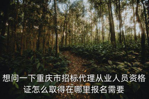 想問一下重慶市招標代理從業人員資格證怎么取得在哪里報名需要