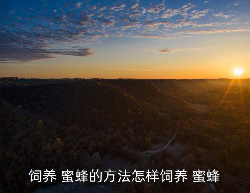 怎樣養蜜蜂,蜜蜂繁殖注意事項:要定期檢查繁殖基地