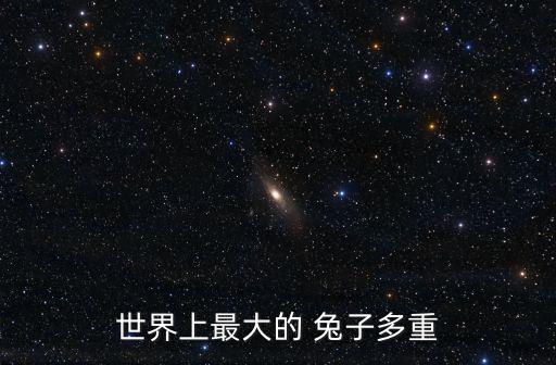 最大的兔子,世界最大自由品種大流士大陸巨兔獲世界保持原狀