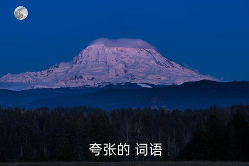  夸張的 詞語