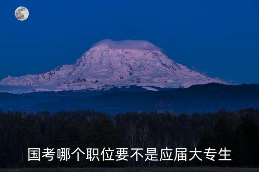 國考哪個職位要不是應(yīng)屆大專生