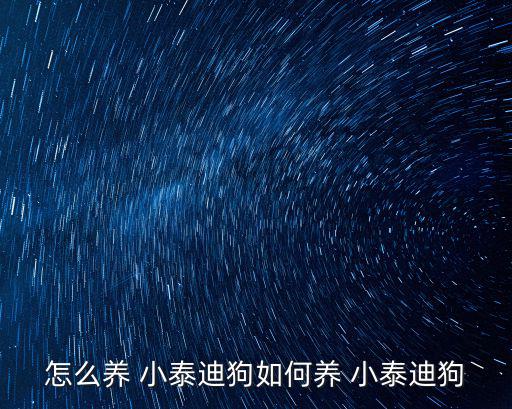 怎么養 小泰迪狗如何養 小泰迪狗