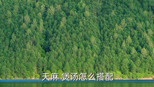  天麻 煲湯怎么搭配