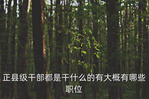 正縣級干部都是干什么的有大概有哪些職位