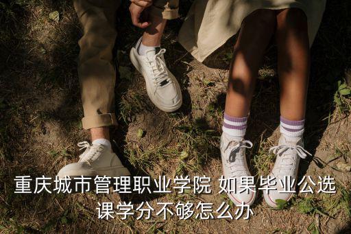 重慶城市管理職業學院 如果畢業公選課學分不夠怎么辦