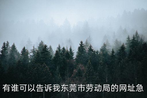 有誰可以告訴我東莞市勞動局的網址急