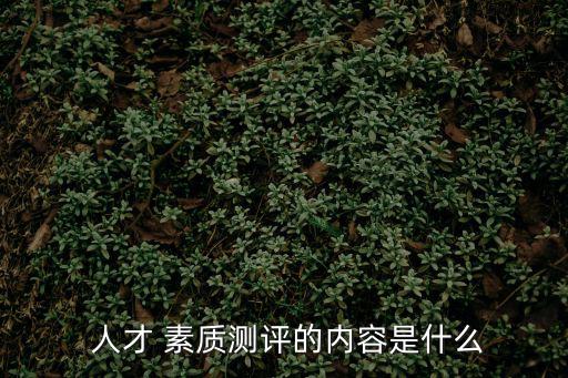  人才 素質測評的內容是什么
