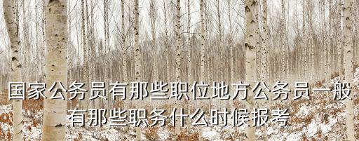 國(guó)家公務(wù)員有那些職位地方公務(wù)員一般有那些職務(wù)什么時(shí)候報(bào)考