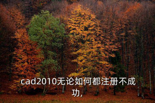  cad2010無論如何都注冊不成功,