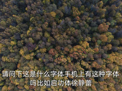 請問下這是什么字體手機上有這種字體嗎比如啟功體徐靜蕾