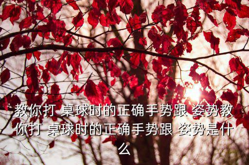 教你打 桌球時的正確手勢跟 姿勢教你打 桌球時的正確手勢跟 姿勢是什么