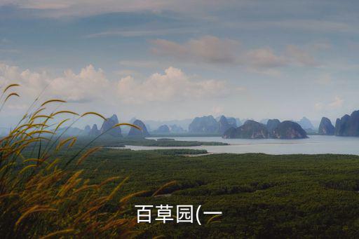 鼠曲草,鼠曲草營養(yǎng)豐富嫩葉可涼拌清蒸和__餅同炒