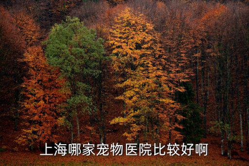 上海哪家寵物醫院比較好啊