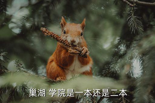 巢湖學院是幾本,巢湖學院是一所全日制普通本科院校