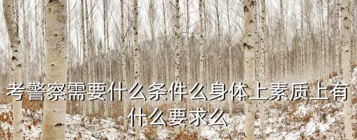 考警察需要什么條件么身體上素質上有什么要求么