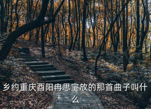 鄉約重慶酉陽冉思寶放的那首曲子叫什么