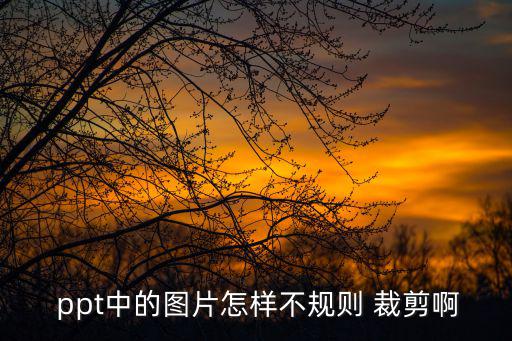ppt裁剪圖片,如何在手機瀏覽器中看到疑似病例?