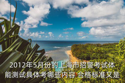 2012年5月份的上海市招警考試體能測試具體考哪些內容 合格標準又是