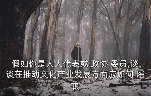 假如你是人大代表或 政協(xié) 委員,談?wù)勗谕苿?dòng)文化產(chǎn)業(yè)發(fā)展方面應(yīng)如何 履職