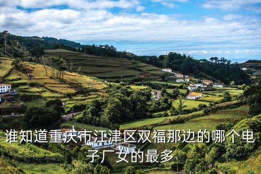 誰知道重慶市江津區(qū)雙福那邊的哪個電子廠女的最多