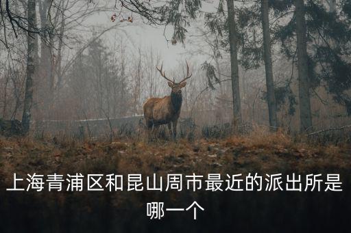 上海青浦區和昆山周市最近的派出所是哪一個