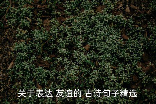 關(guān)于表達(dá) 友誼的 古詩句子精選