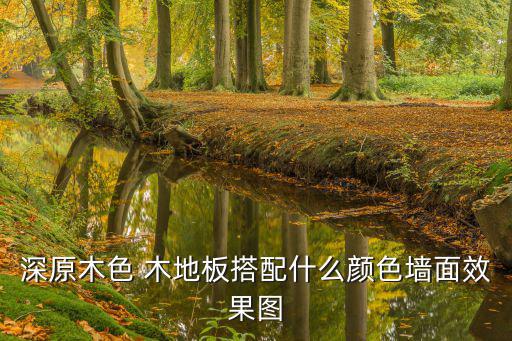 木地板顏色效果圖,地方小,淺色地板最合適顏色會影響視覺感受