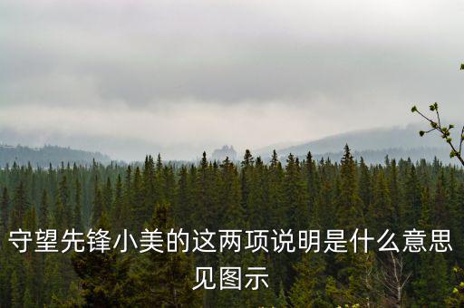 守望先鋒小美的這兩項說明是什么意思見圖示