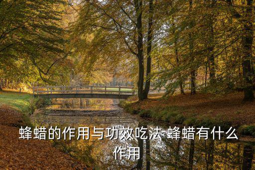  蜂蠟的作用與功效吃法 蜂蠟有什么作用