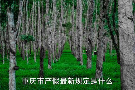 重慶市產假最新規定是什么