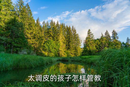 太調皮的孩子怎樣管教