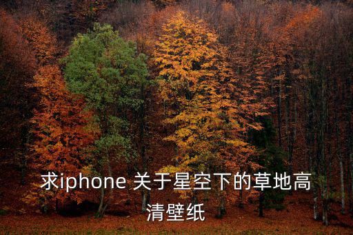 求iphone 關(guān)于星空下的草地高清壁紙