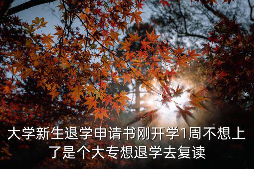 大學新生退學申請書剛開學1周不想上了是個大專想退學去復讀