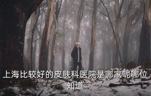 上海比較好的皮膚科醫(yī)院是哪家呢哪位知道