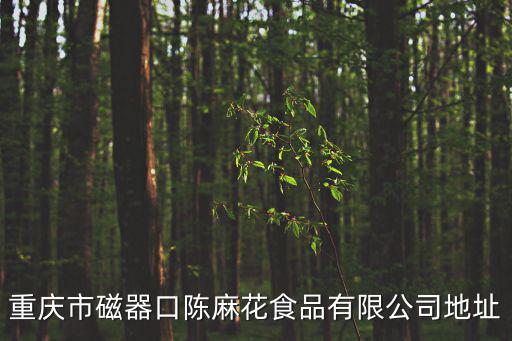 重慶市磁器口陳麻花食品有限公司地址