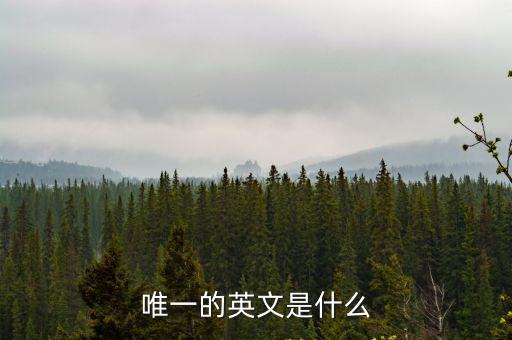 唯一的英文是什么