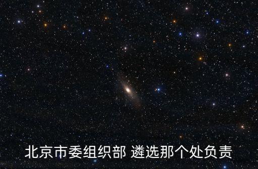 北京市委組織部 遴選那個處負責