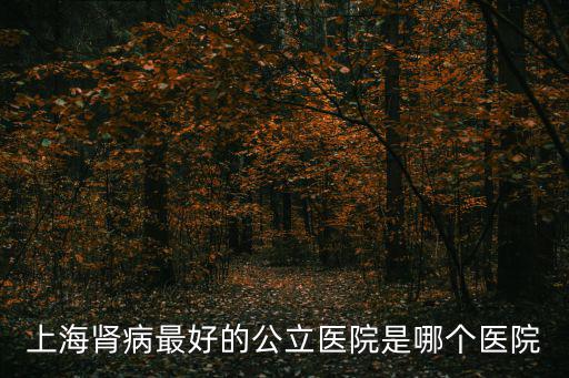上海治療腎病最好的醫(yī)院，上海都有哪些治療腎病比較好的醫(yī)院呀