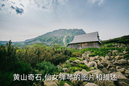 黃山的圖片,彈鋼琴的仙女黃山千巖萬谷的奇石形狀各異