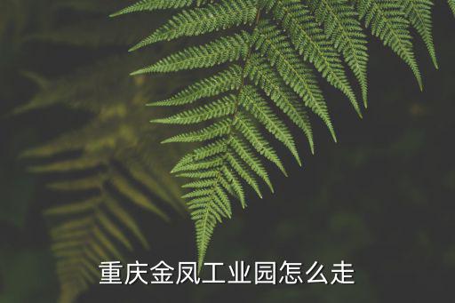 重慶金鳳工業園怎么走