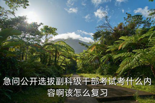 急問公開選拔副科級干部考試考什么內容啊該怎么復習