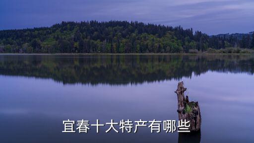 宜春十大特產(chǎn)有哪些
