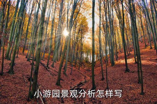 小游園景觀設計方案，小游園景觀分析怎樣寫
