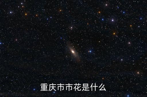重慶市代表的花卉，重慶的市花是什么花啊