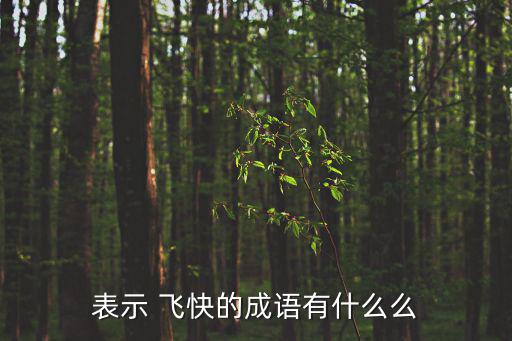 表示 飛快的成語有什么么