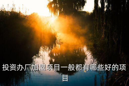 投資辦廠加盟項目，投資辦廠加盟項目一般都有哪些好的項目