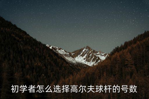 初學者怎么選擇高爾夫球桿的號數